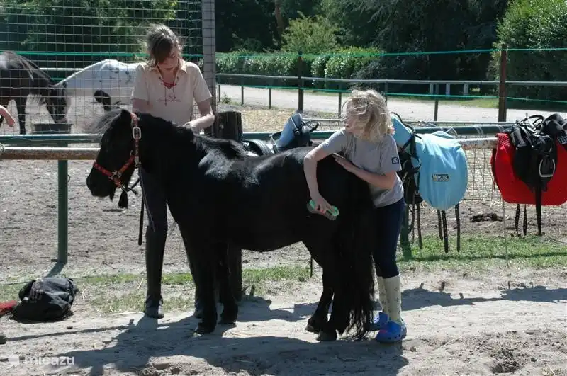 Bei den Ställen im Park können gestreichelt werden die Pferde und verschiedene Aktivitäten können mit den Pferden durchgeführt werden.