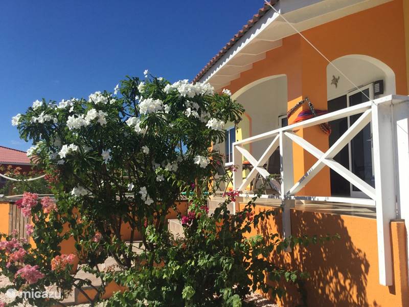 Maison de Vacances Curaçao, Banda Abou (ouest), Fontein Villa Tropicale avec piscine