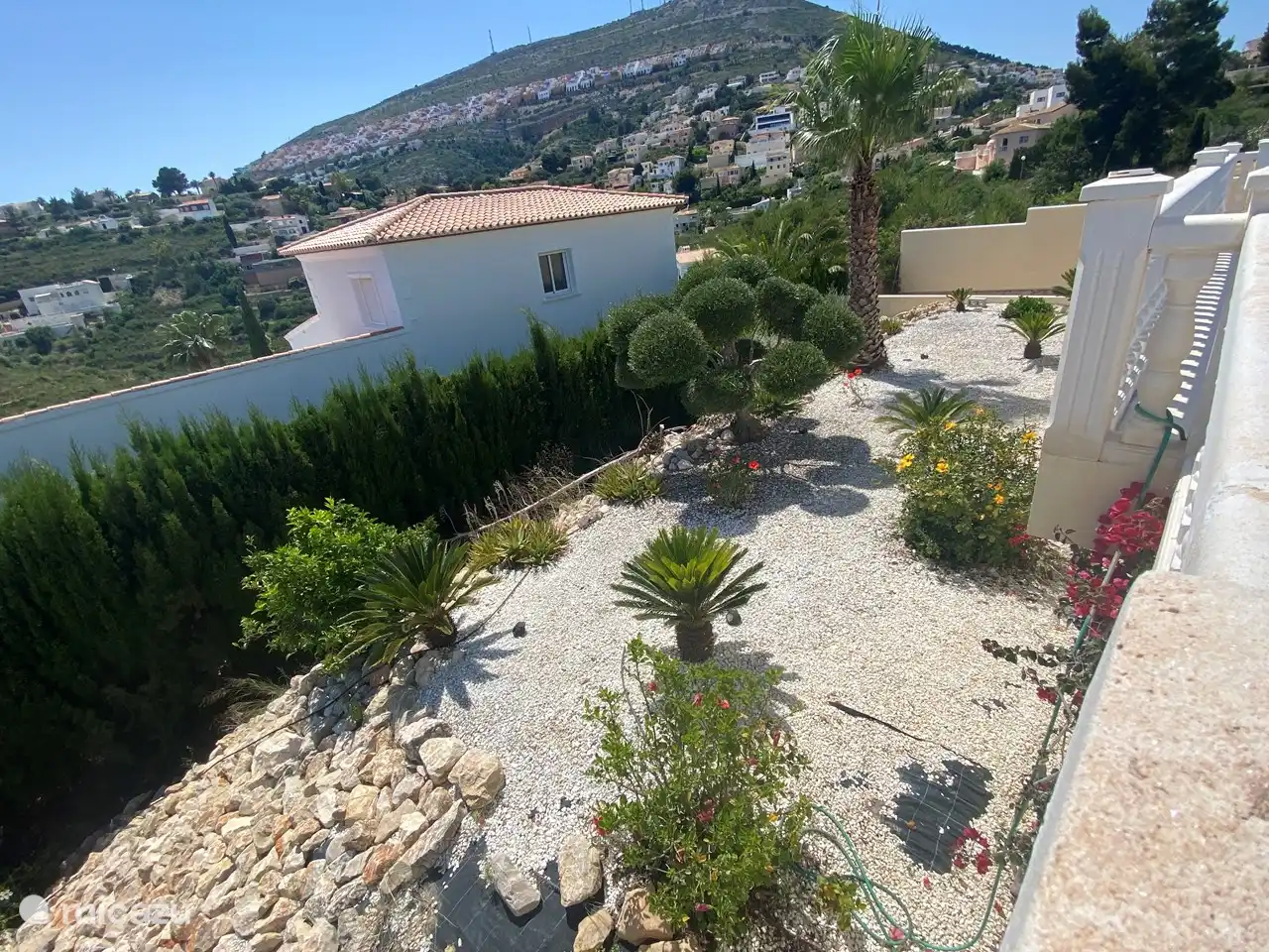 Adjacent to the house is a spacious backyard with beautiful trees/plants such as an olive tree and orange tree. 