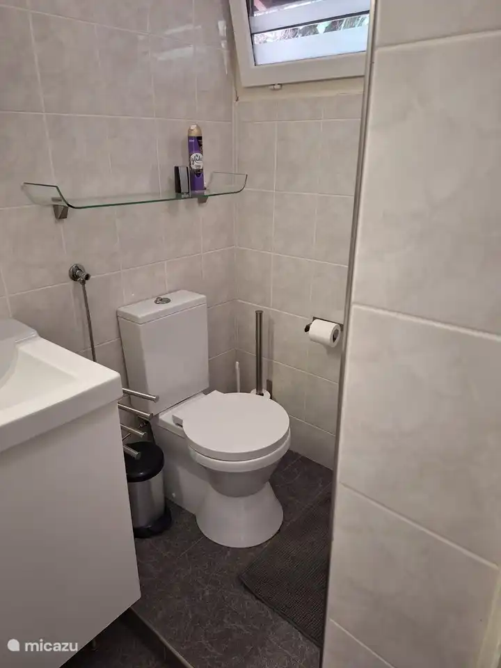 Este es el inodoro y parte del lavabo del baño.