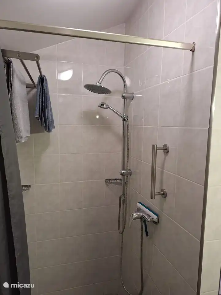 Aquí puede ver la espaciosa ducha con dos cabezales de ducha, incluido un cabezal de ducha grande.