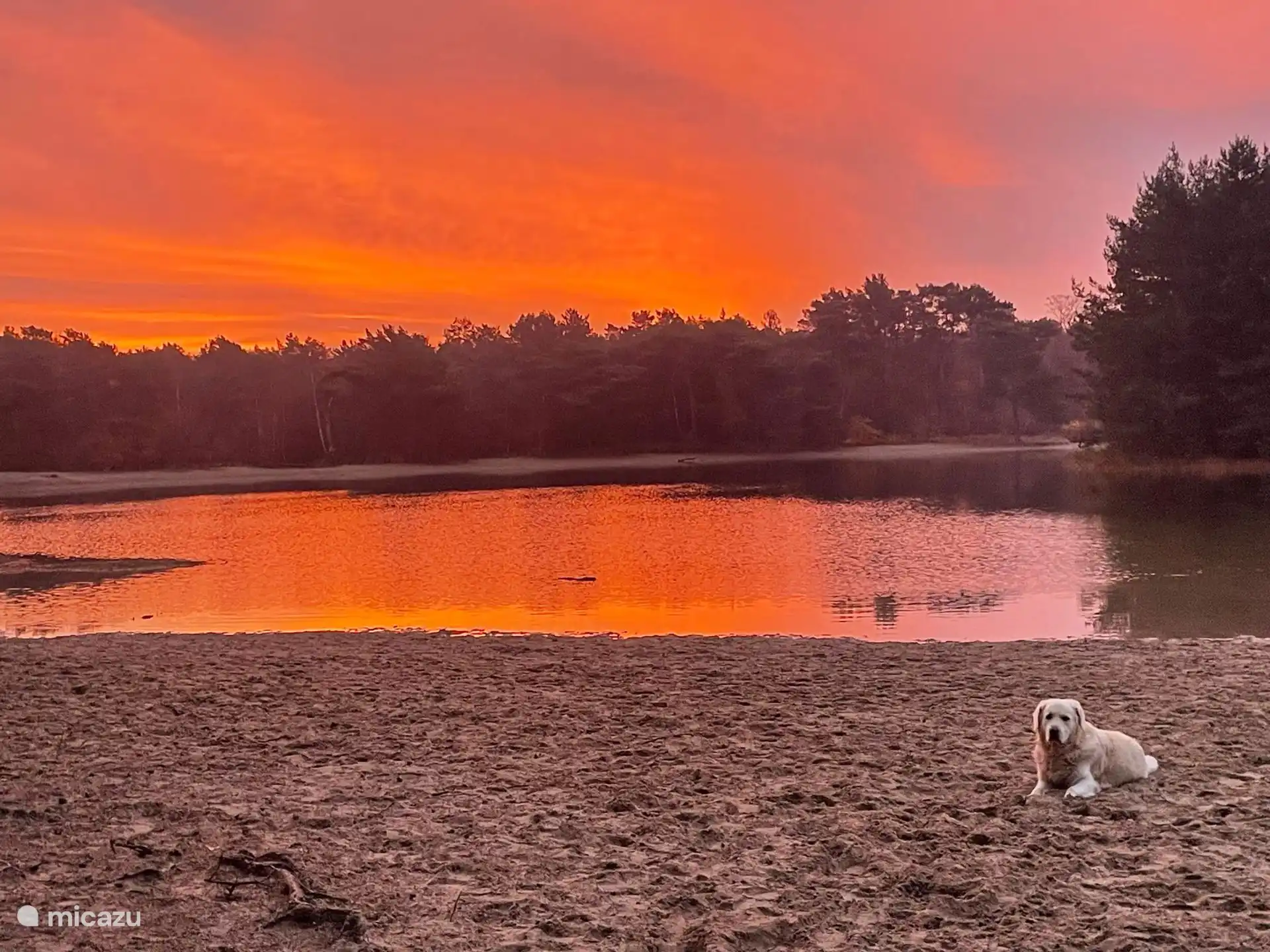 Foto van de gasten. Dankzij de hond vroeg op pad en dan ontvang je dit soort foto's. Geweldig, zo mooi!
