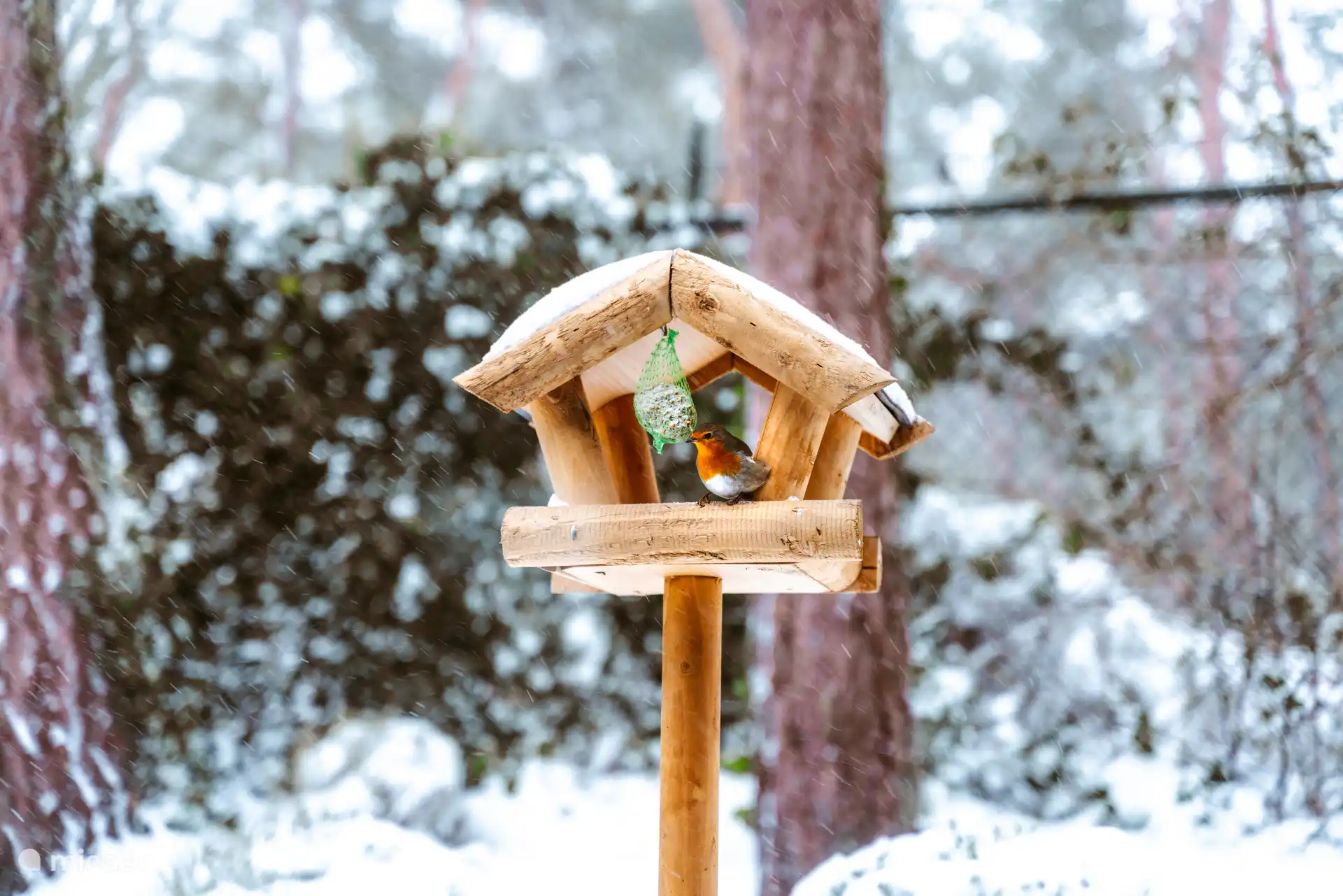 Foto van de gasten, winter in de Bosburcht, vanuit de keuken.