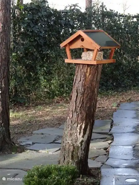 Voliere in der Küche.