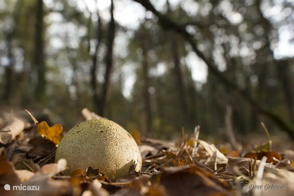 Wie geil ist das denn in der Lage sein so schöne Bilder der Gäste zu empfangen.