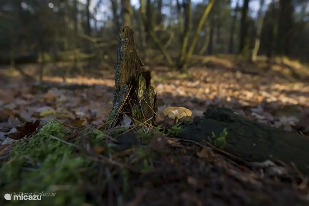 Wie geil ist das denn in der Lage sein so schöne Bilder der Gäste zu empfangen.