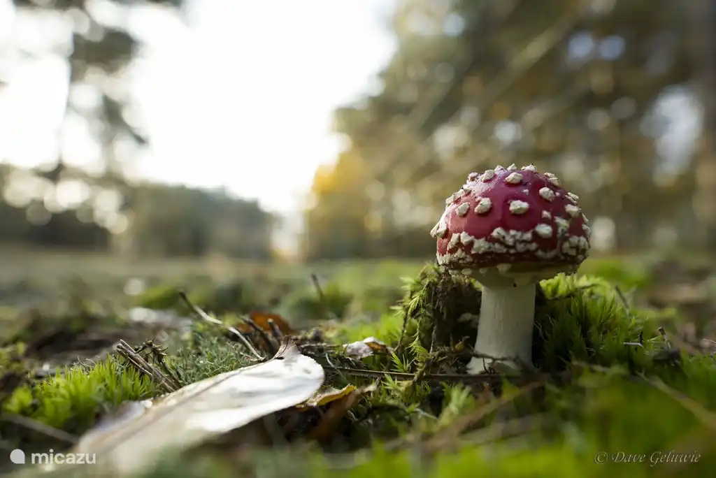 Wie geil ist das denn in der Lage sein so schöne Bilder der Gäste zu empfangen.