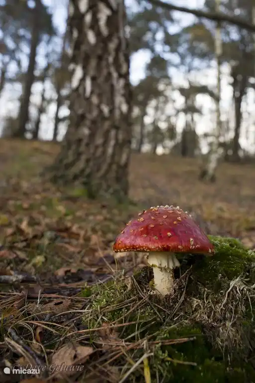 Wie geil ist das denn in der Lage sein so schöne Bilder der Gäste zu empfangen.