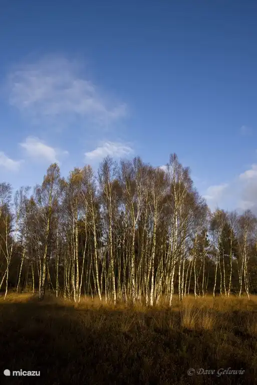 Wie geil ist das denn in der Lage sein so schöne Bilder der Gäste zu empfangen.