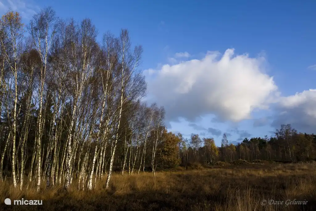 Wie geil ist das denn in der Lage sein so schöne Bilder der Gäste zu empfangen.