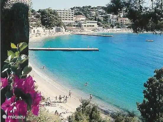 Renecros mit mehreren Anlegestellen für Schwimmer