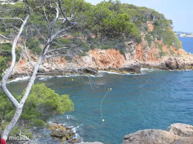 Château Renard Bandol | France, Côte d'Azur, Bandol - maison mitoyenne Vue du Sentier Littoral