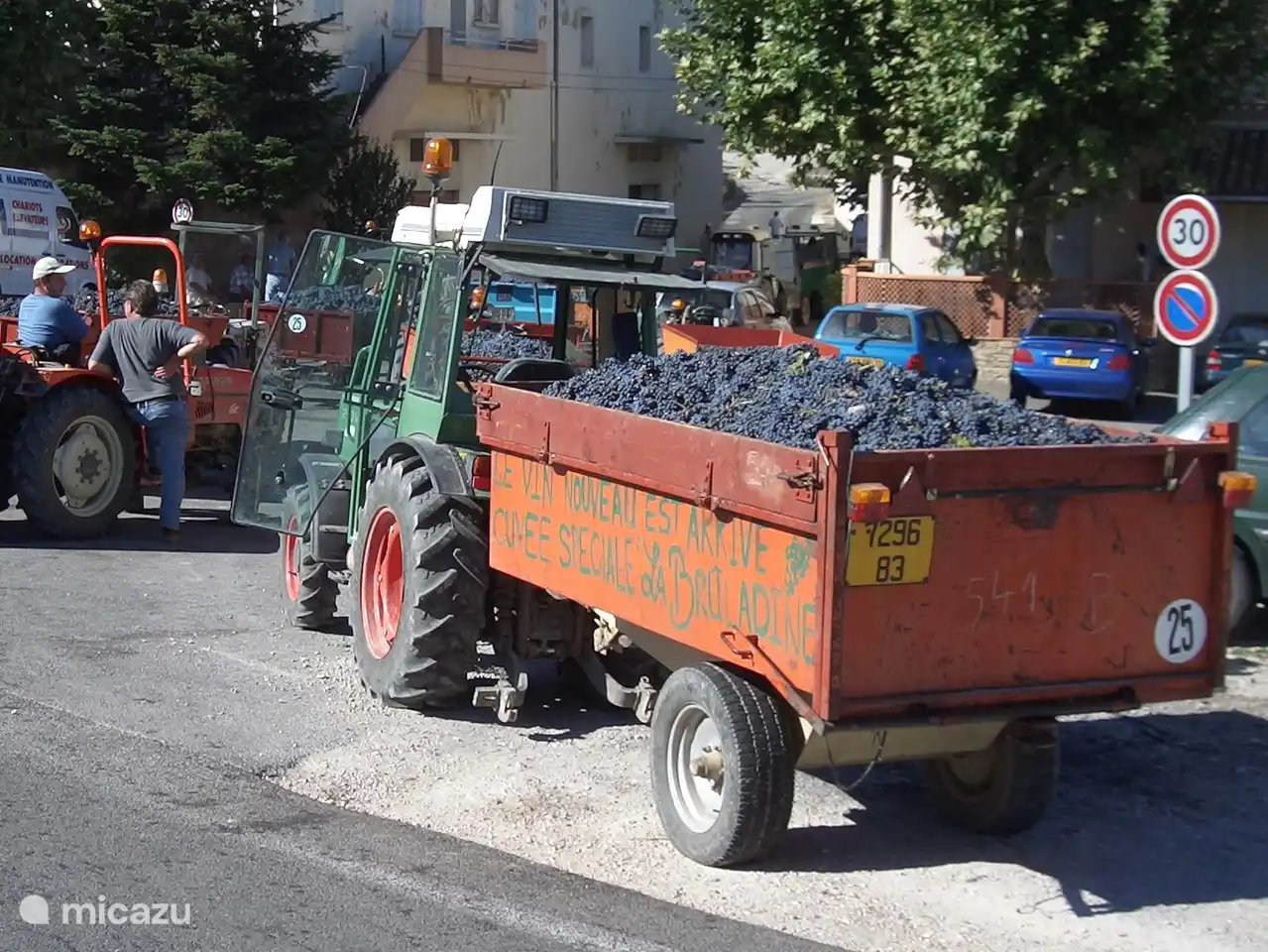 Riesiges Angebot an Trauben