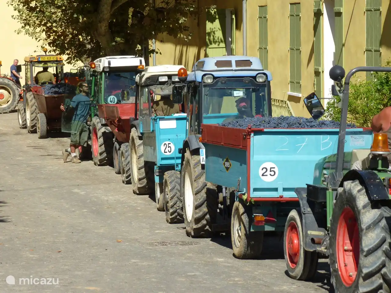 Geduld in der Genossenschaft