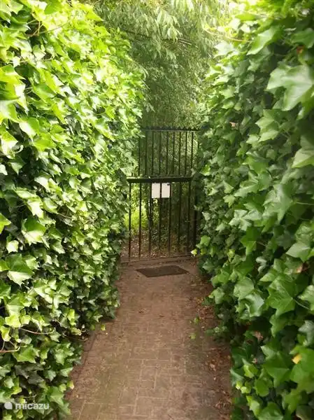 La porte de la forêt est à 1 minute à pied.