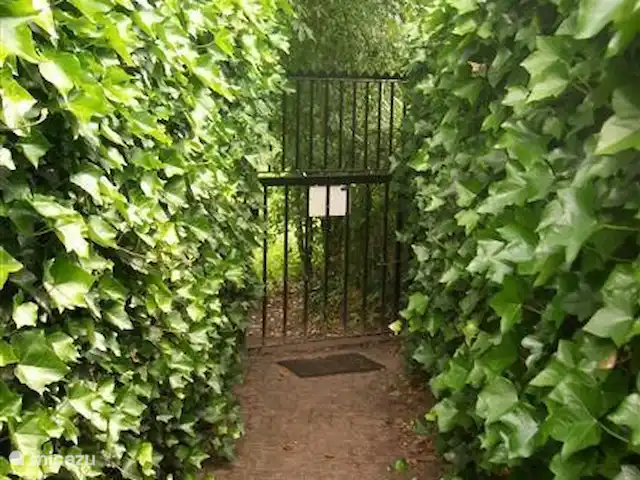 Veluwerijck 8 en Países Bajos, Güeldres, Ermelo - casa de campo La puerta del bosque se encuentra a 1 minuto a pie.