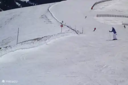 Domaines skiables de Lachtal et Kreischberg