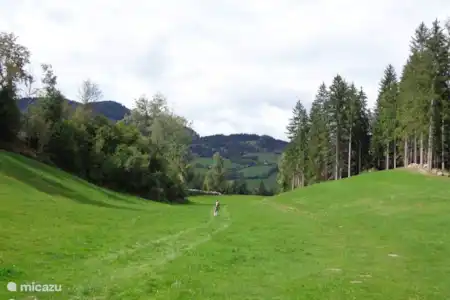 Randonnée sur le Hochstubofen (2385 mètres).