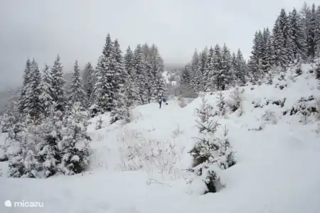 Randonnée en hiver