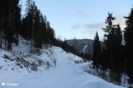 Randonnée en hiver
