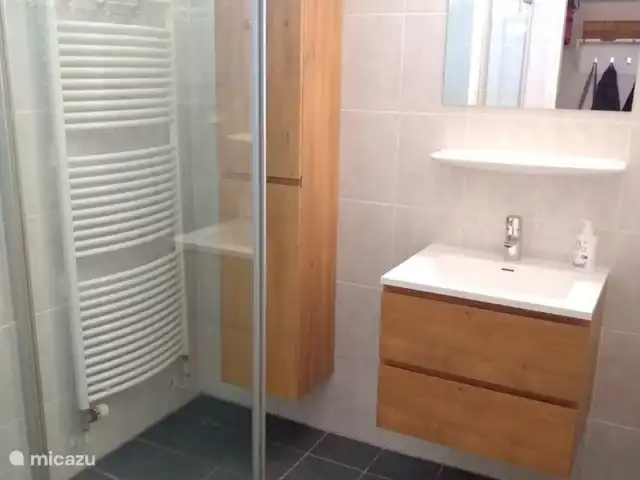 De Zeeëgel, de Zuidhoek 8 huren in Nederland, Zeeland, Renesse - bungalow Ruime frisse badkamer