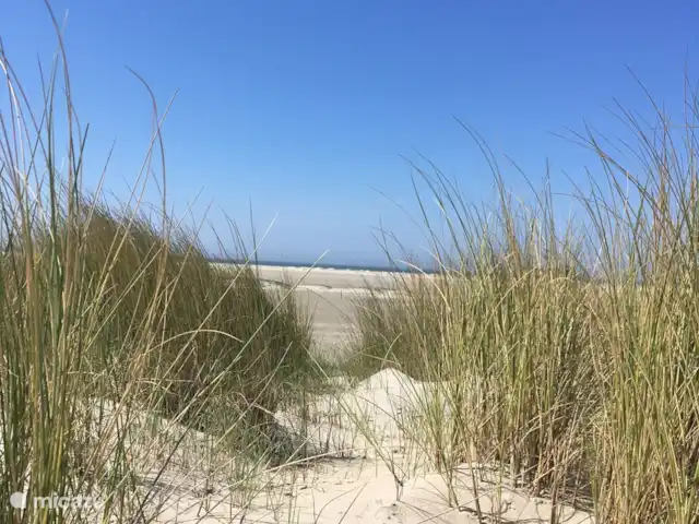 De Zeeëgel, de Zuidhoek 8 huren in Nederland, Zeeland, Renesse - bungalow Maar 10 minuten van het prachtige brede stand