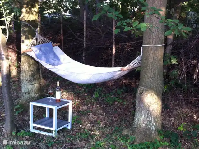 De Zeeëgel, de Zuidhoek 8 huren in Nederland, Zeeland, Renesse - bungalow Heerlijk wegdromen in de hangmat!
