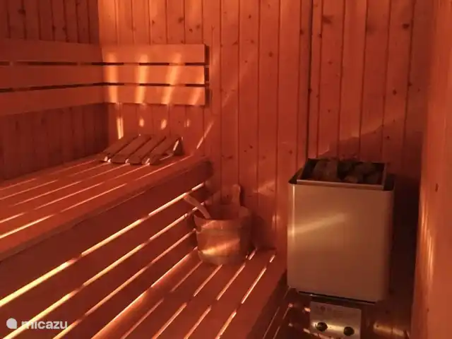 De Zeeëgel, de Zuidhoek 8 huren in Nederland, Zeeland, Renesse - bungalow Inclusief privé sauna
