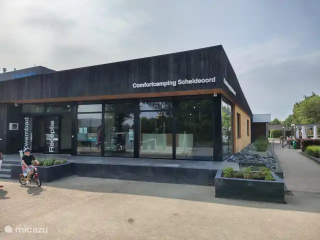 Location de Vacances Pays-Bas, Zélande, Baarland, bungalow - Bergeronnette grise Scheldeoord L’entrée de la piscine rénovée