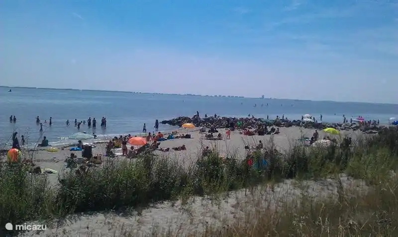 Die Schelde Strand, 250 Meter von der Hütte.