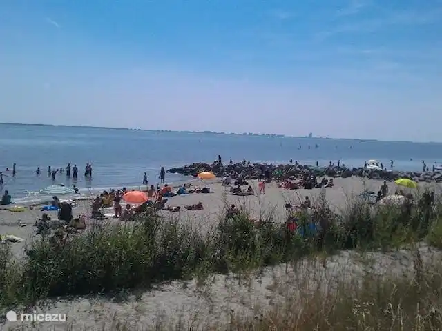 Location de Vacances Pays-Bas, Zélande, Baarland, bungalow - Bergeronnette grise Scheldeoord La plage de l'Escaut, à 250 mètres de la maison de vacances.