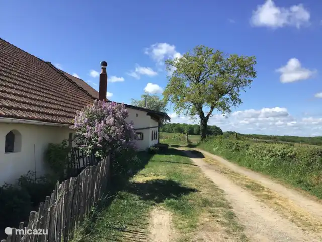 Domaine Imagine Silence huren in Frankrijk, Nièvre, Lanty - gîte / cottage Als je uit het dorp komt aanrijden, zie je van een afstand het huis en het appartement: rustig in de natuur.