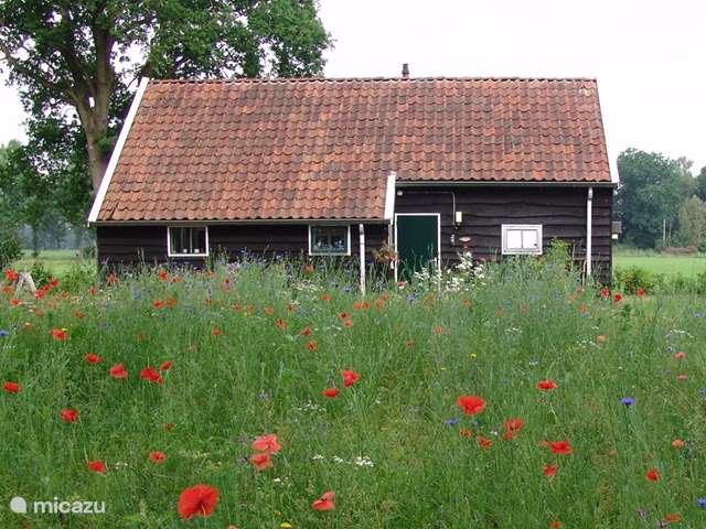 Holiday home in Netherlands, Drenthe – holiday house 'T Lovely cottage on the meadow