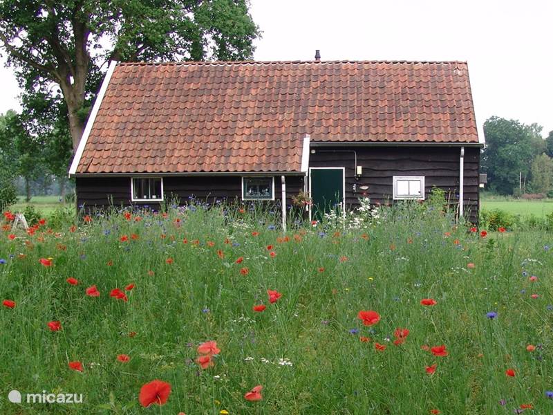 Holiday home in Netherlands, Drenthe, Dwingeloo Holiday house 'T Lovely cottage on the meadow