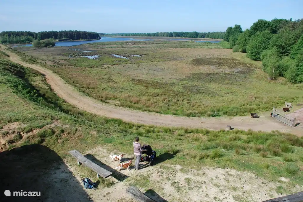 À proximité du parc national de Dwingelderveld