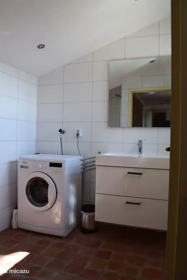 Bathroom with large sink and washing machine