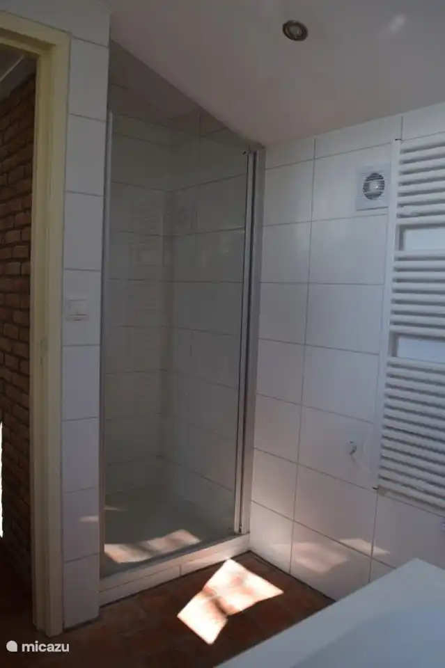 Spacious shower with door