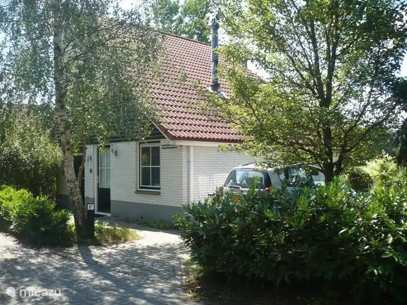 Tauchen Sie ein in das Grün