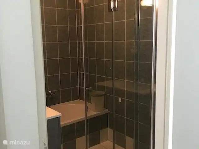 Maison de Vacances Idéale Appelscha | Pays-Bas, Frise, Appelscha - maison de vacances Salle de bain avec cabine de douche et baignoire