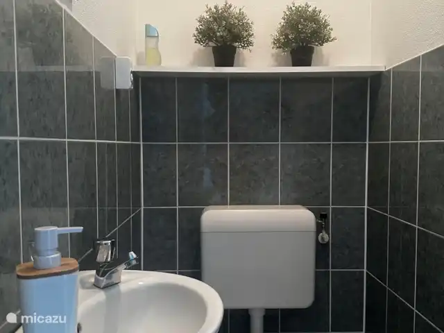 Maison de Vacances Idéale Appelscha | Pays-Bas, Frise, Appelscha - maison de vacances