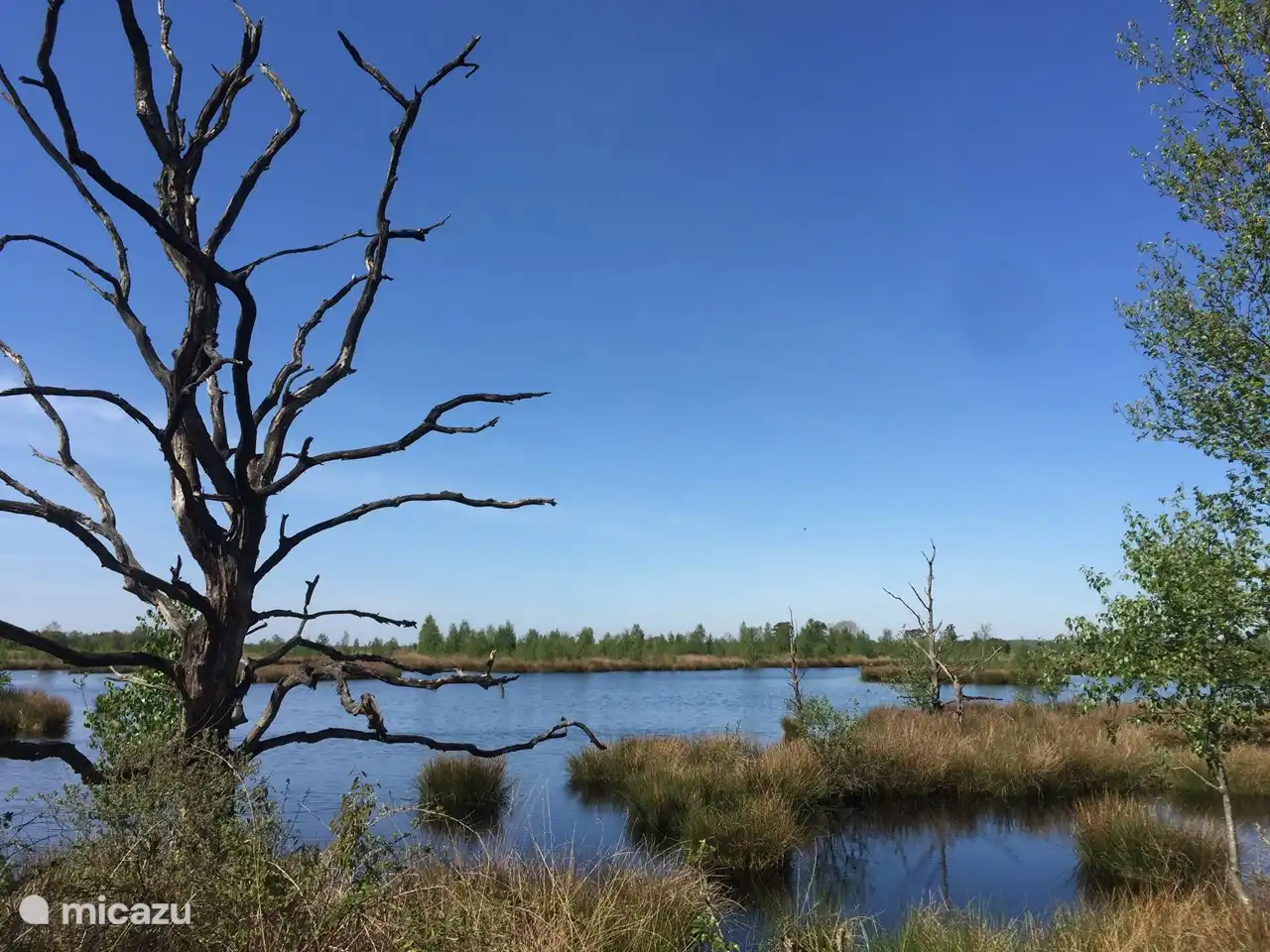 Schönes Dwingelderveld