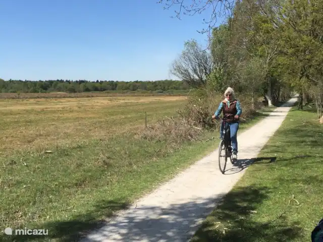 Maison de Vacances Idéale Appelscha | Pays-Bas, Frise, Appelscha - maison de vacances Faire du vélo dans la Drenthe