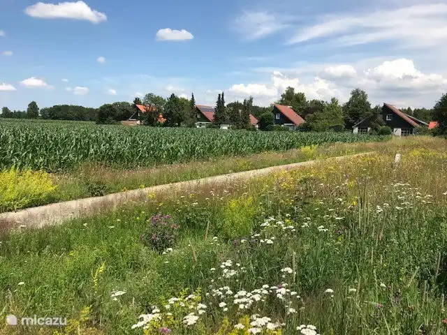 Wunderschön am äußeren Rand des Parks gelegen mit unverbautem Blick