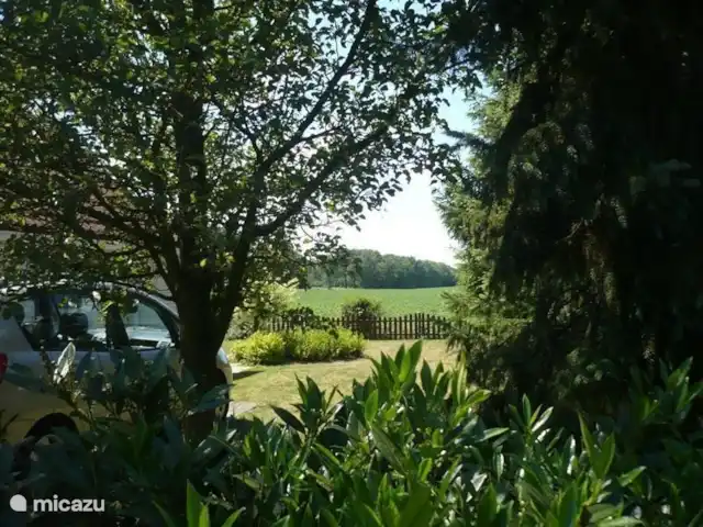 Maison de Vacances Idéale Appelscha | Pays-Bas, Frise, Appelscha - maison de vacances Une belle vue de grande envergure et enrichissante