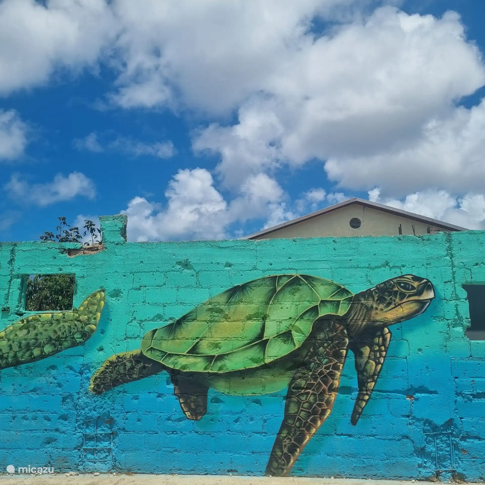 Kunst in San Nicolas