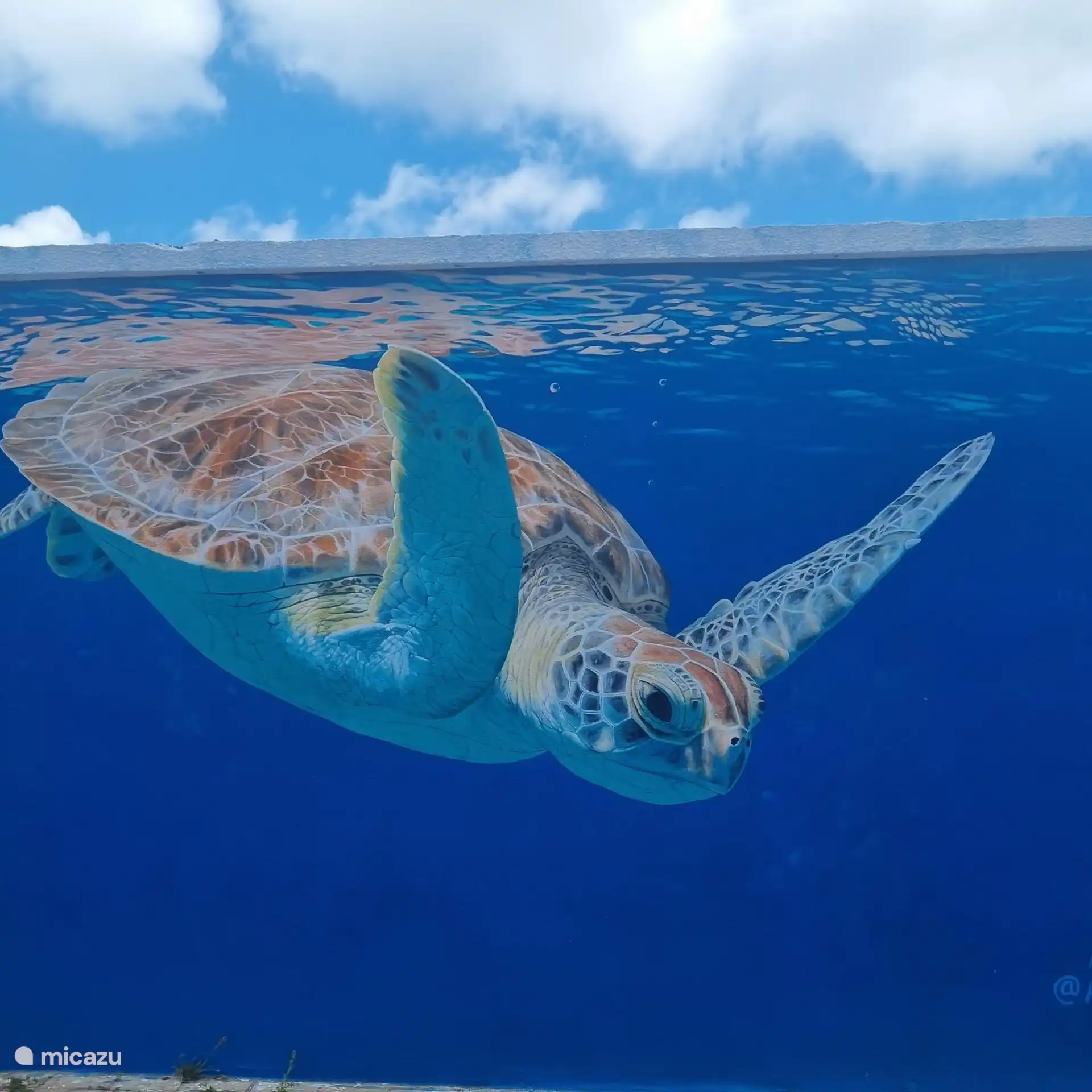 Kunst in San Nicolas