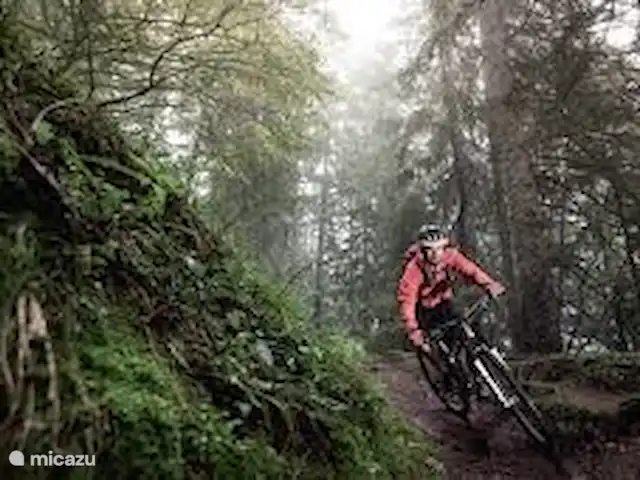 Montafón en Austria, Vorarlberg, Schruns - apartamento 860 km de rutas ciclistas y BTT de fácil a difícil