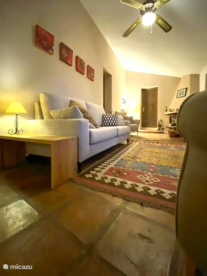 New comfortable sofa and chairs