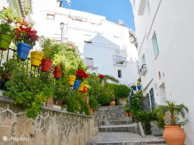 Finca La Estrella de Cómpeta huren in Spanje, Andalusië, Cómpeta - finca Straatje in Cómpeta