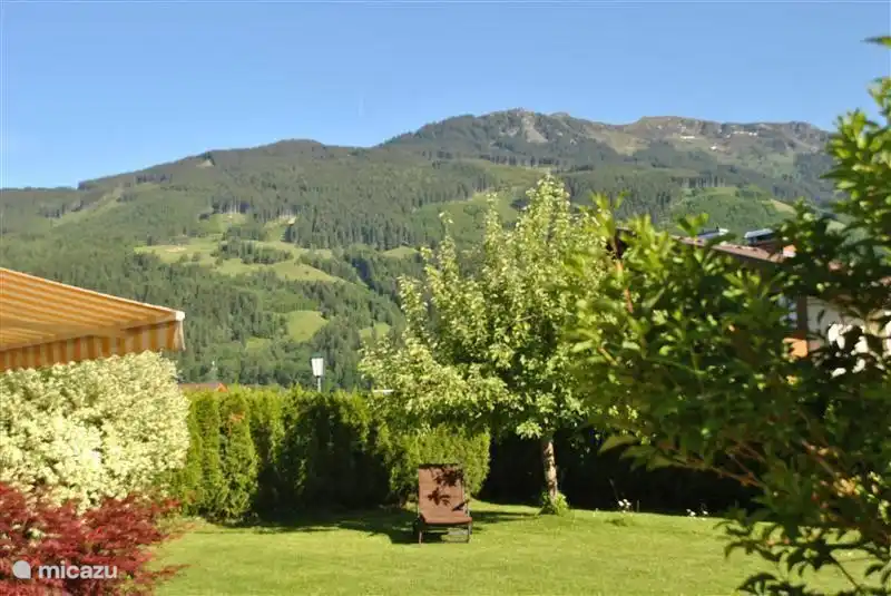 Der große, wunderschöne Wallach. Mit natürlichem Farbton